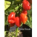 Trinidad Smooth Pepper Seeds
