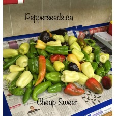Cheap Sweet Annuum Pepper Seeds 