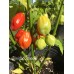Trinidad Smooth Pepper Seeds