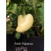 Antohi Romanian Pepper Seeds