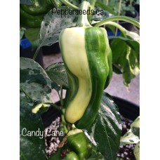 Candy Cane Pepper Seeds 