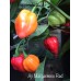 Aji Margariteno Red Pepper Seeds