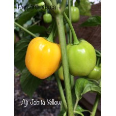 Aji Jobita Yellow Pepper Seeds 