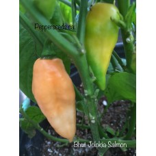 Bhut Jolokia Salmon Pepper Seeds 