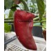 CGN 16497 Pepper Seeds CGN 16497 Pepper Seeds