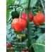 7-Pot Lava Red Pepper Seeds