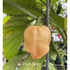 Peach Naga Pepper Seeds 