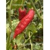 APS Super Hot Finger Red Pepper Seeds 