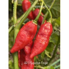 APS Super Hot Finger Red Pepper Seeds 