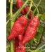 APS Super Hot Finger Red Pepper Seeds 