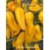 Ghostly jalapeño Yellow Pepper Seeds Ghostly jalapeño Yellow Pepper Seeds