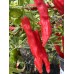 Aji Santa Cruz Pepper Seeds 