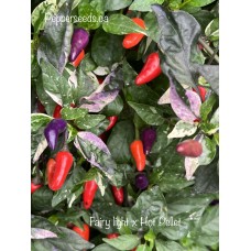 Fairy light x Hot Pellet Pepper Seeds 