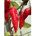 7-Pot Bubble Gum x Tigers Teeth Pepper Seeds 