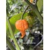 Douglah Inception Pepper Seeds
