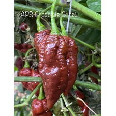 APS Chocolate Ghost Pepper Seeds 