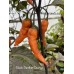 Black Panther Orange Pepper Seeds Black Panther Orange Pepper Seeds