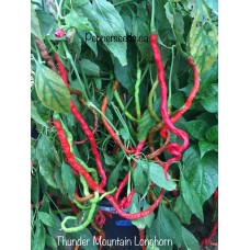 Thunder Mountain Longhorn Pepper Seeds
