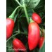 Barbados Habanero Pepper Seeds 