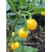 Bode Amarillo Yellow Pepper Seeds