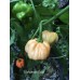 Chinense Mix Pepper Seeds Chinense Mix Pepper Seeds