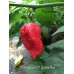 7-Pot Crown Of Thorns Red Pepper Seeds 