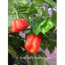 7-Pot Jonah Red x Carolina Reaper Pepper Seeds