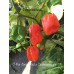 7-Pot Jonah Red x Carolina Reaper Pepper Seeds