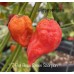 7-Pot Brain Strain Scorpion Pepper Seeds