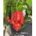Bode Away Pepper Seeds Bode Away Pepper Seeds