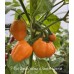 7-Pot Jonah Yellow x Scotch Bonnet Pepper Seeds 7-Pot Jonah Yellow x Scotch Bonnet Pepper Seeds