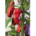 7-Pot Wes Pepper Seeds 7-Pot Wes Pepper Seeds