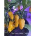 7-Pot Primo x Butch T Yellow Pepper Seeds 