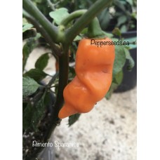 Pimento Sparanise Pepper Seeds Pimento Sparanise Pepper Seeds
