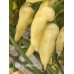 Devils Tongue White Pepper Seeds