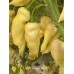 Devils Tongue White Pepper Seeds