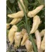 Devils Tongue White Pepper Seeds