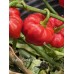 Stuffing Scotch Bonnet Pepper Seeds Stuffing Scotch Bonnet Pepper Seeds