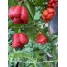 Scotch Bonnet Sweet Moruga Brown Pepper seeds 
