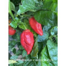 7-Pot Bubble Gum x Apricot Scorpion Pepper Seeds 