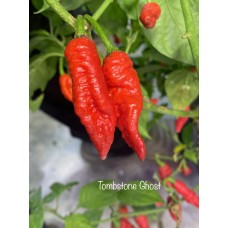 Tombstone Ghost Pepper Seeds