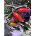 Count Dracula Pepper Seeds 