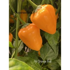 Aji Orange Ball Pepper Seeds 