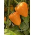 Aji Orange Ball Pepper Seeds 