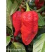 Ghost Naganero Red Pepper Seeds Ghost Naganero Red Pepper Seeds