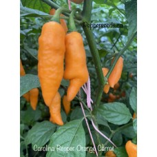 Carolina Reaper Orange Carrot Pepper Seeds