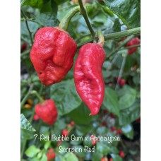 7-Pot Bubble Gum x Apocalypse Scorpion Red Pepper Seeds 