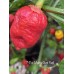 7-Pot Mama Gum Red Pepper Seeds 