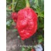 7-Pot Mama Gum Red Pepper Seeds 