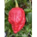 7-Pot Mama Gum Red Pepper Seeds 